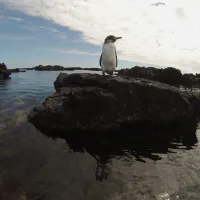 TEQ_GALAPAGOS_San cristobal1